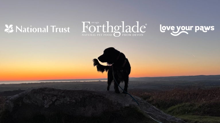 The silhouette of a cocker spaniel stands at the top of Godolphin Hill on a boulder. It is sunset behind them.